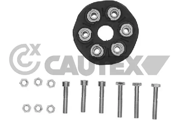 021497 Cautex