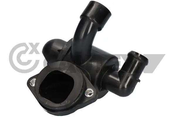 750817 Cautex