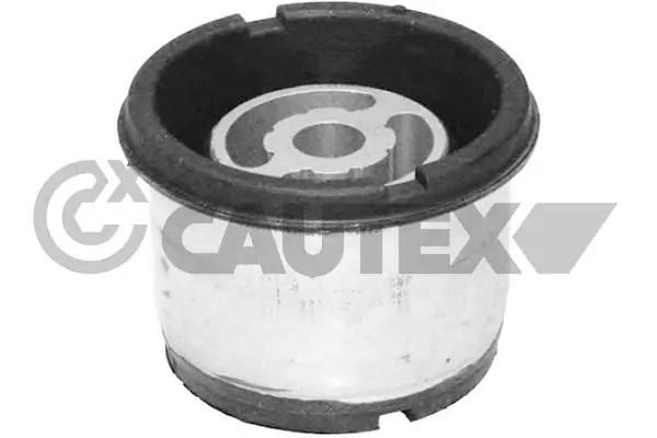 481137 Cautex
