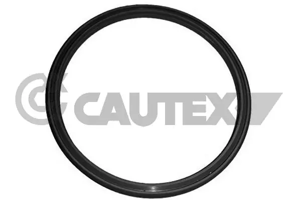 751978 Cautex