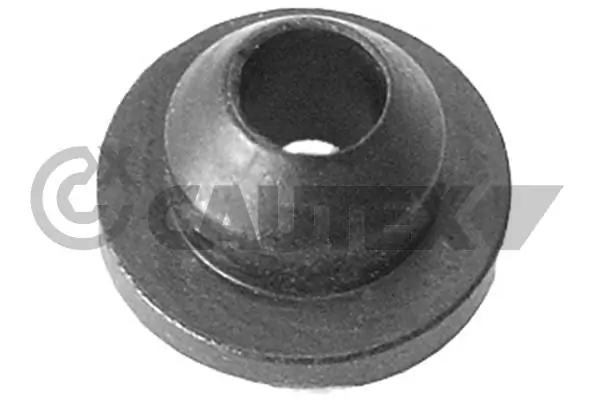 954754 Cautex