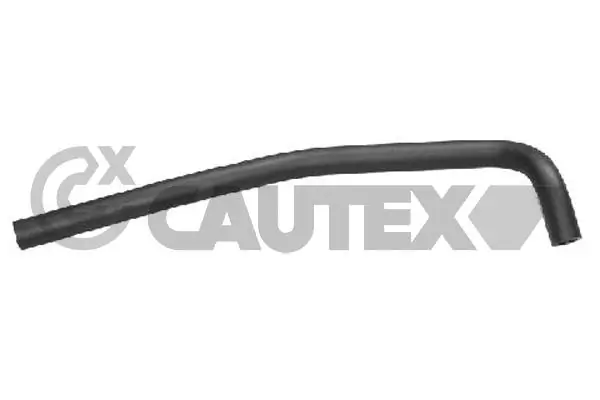 036355 Cautex