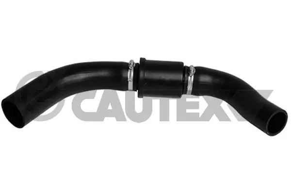 086771 Cautex