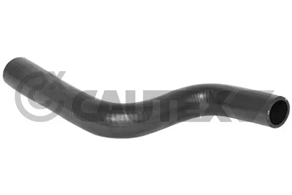 026295 Cautex
