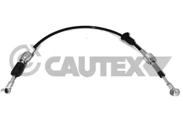 766113 Cautex