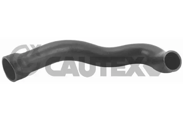 186742 Cautex
