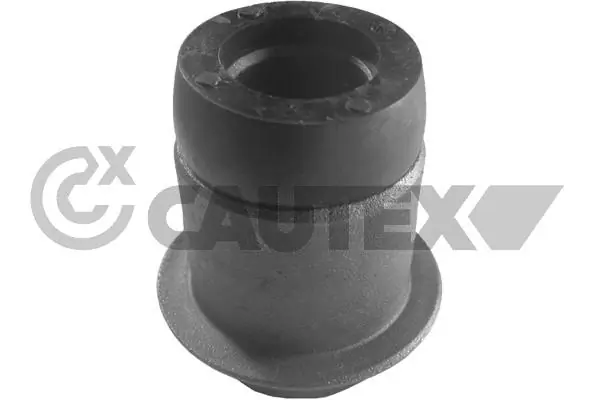 019027 Cautex