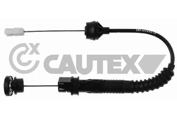 038463 Cautex