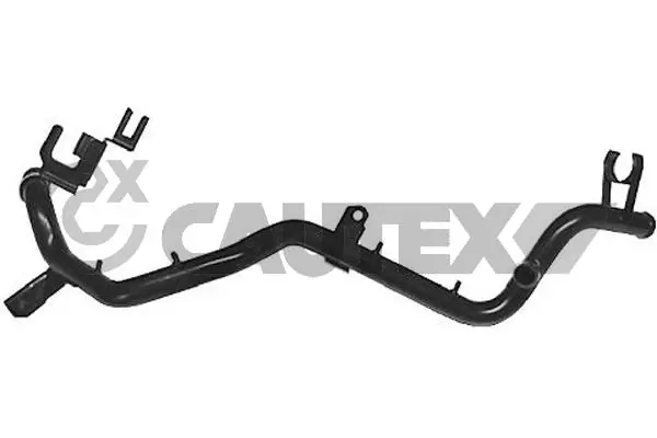 955136 Cautex