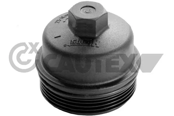 482538 Cautex