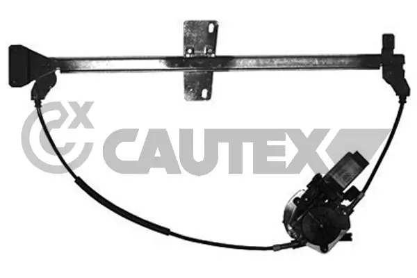187005 Cautex