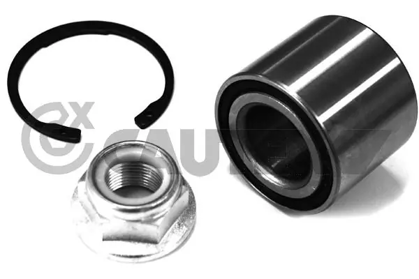 462601 Cautex