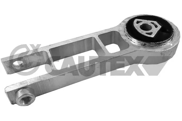 031693 Cautex