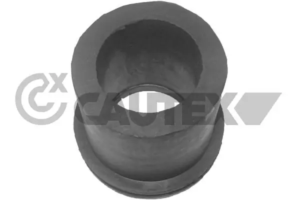 100002 Cautex