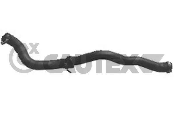 026832 Cautex