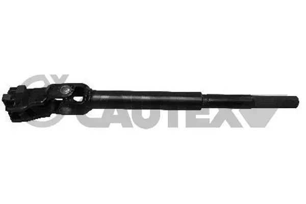 031711 Cautex
