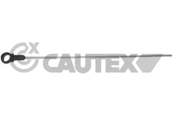 031584 Cautex