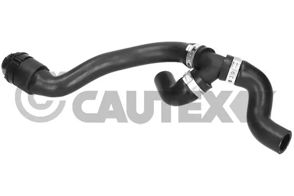 771617 Cautex