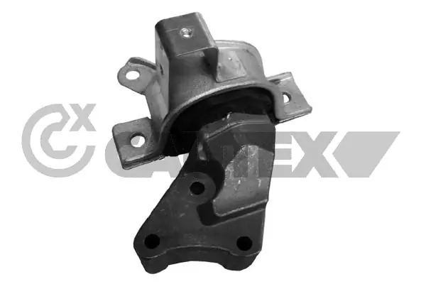 011099 Cautex