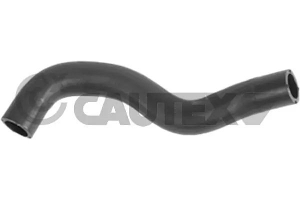771623 Cautex