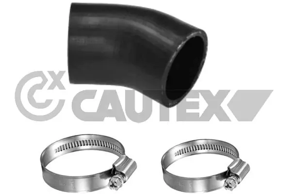 769819 Cautex