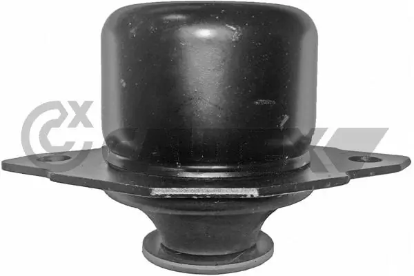 460886 Cautex