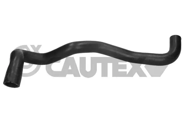 771690 Cautex