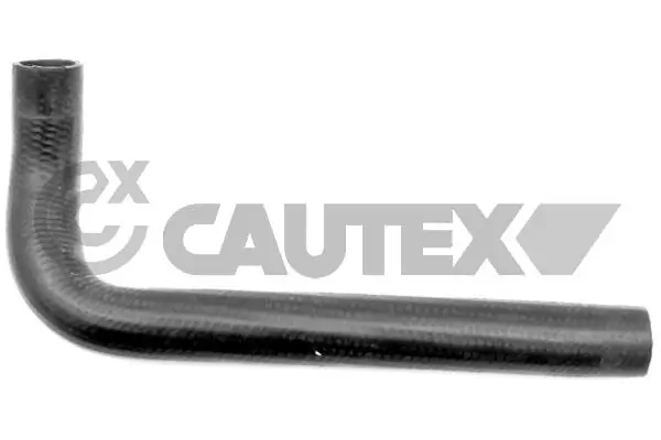 031081 Cautex