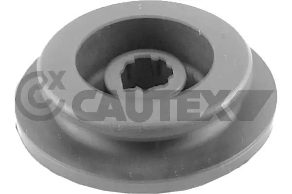 758544 Cautex