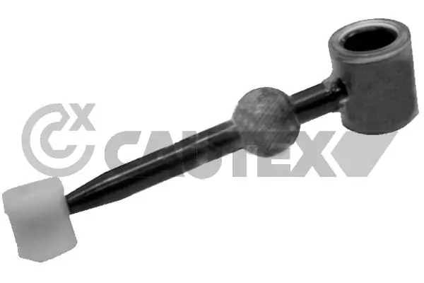 021049 Cautex
