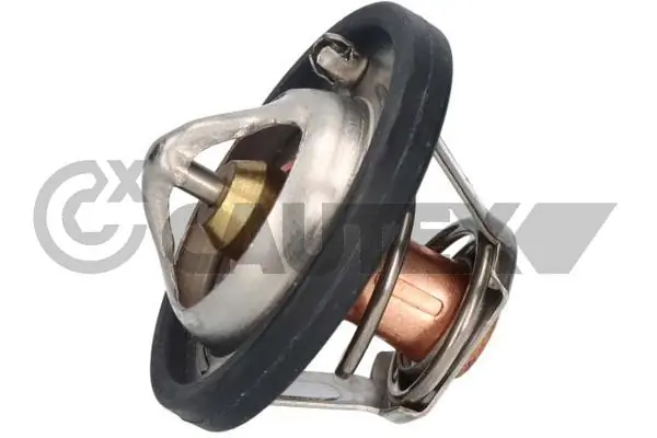 Termostato para Volvo S40 MS