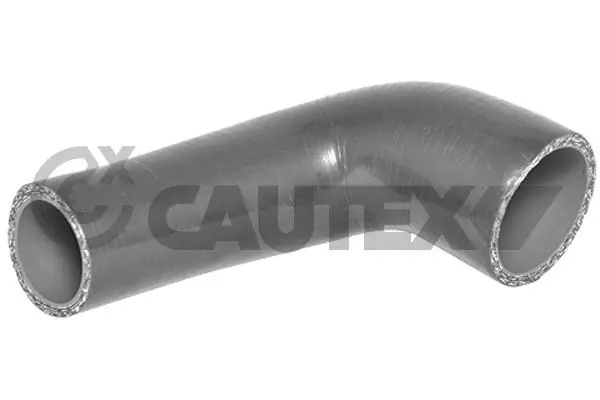 754549 Cautex