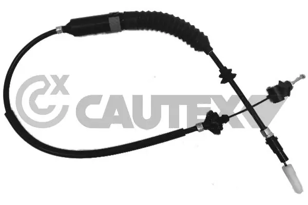 468233 Cautex