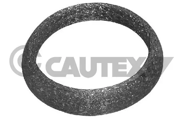 954203 Cautex