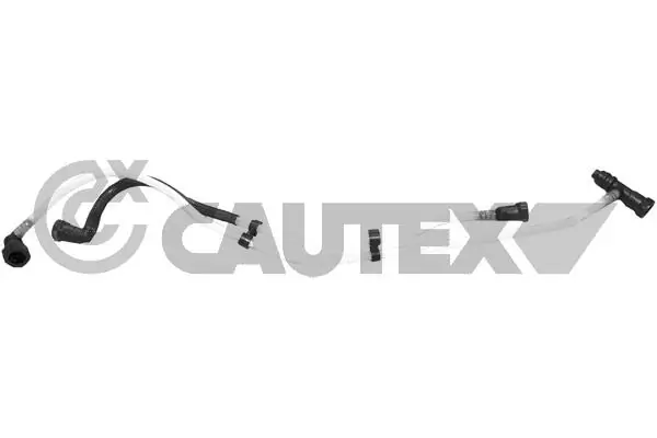 757139 Cautex