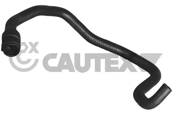 036736 Cautex