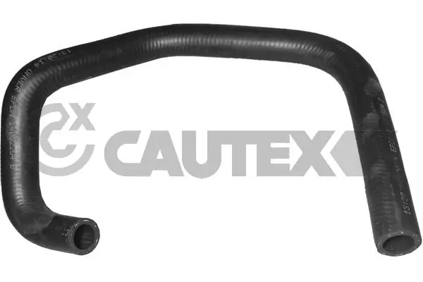 036094 Cautex