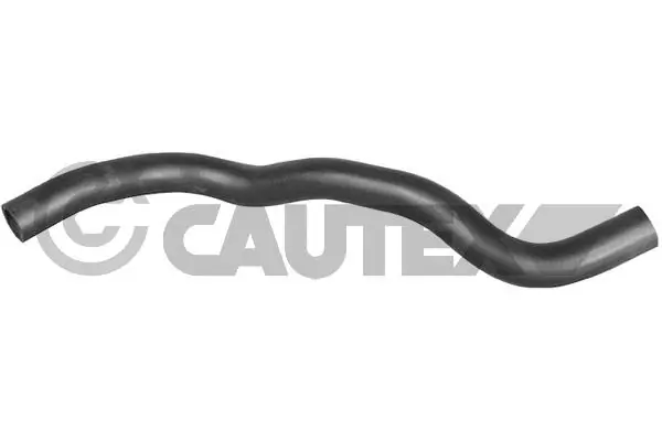016353 Cautex