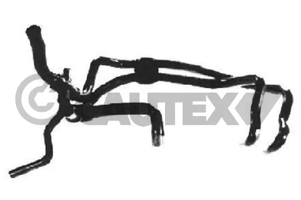 026097 Cautex