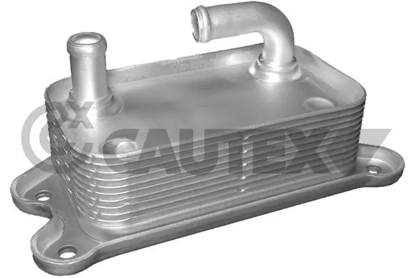701072 Cautex