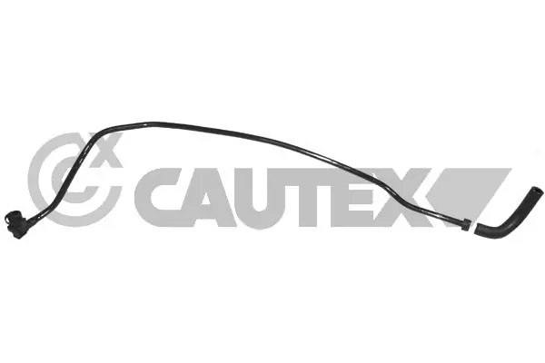 754416 Cautex