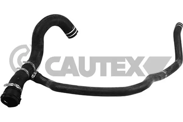 753730 Cautex