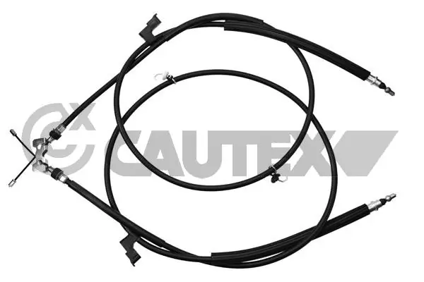 088103 Cautex