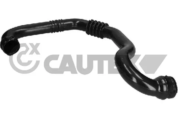 026837 Cautex
