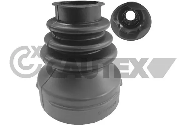 031473 Cautex