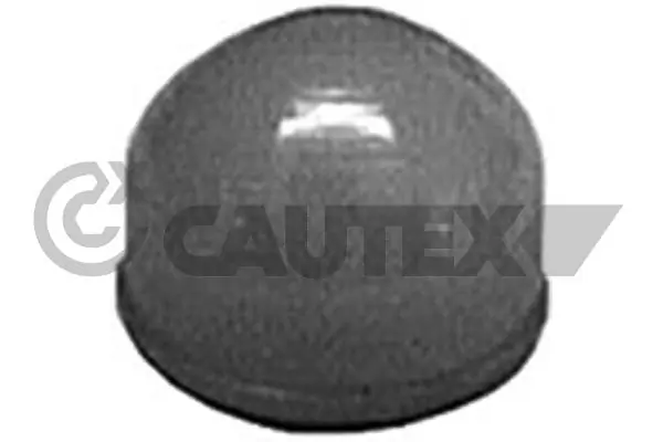 010615 Cautex