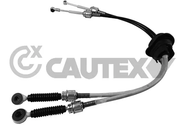 766490 Cautex