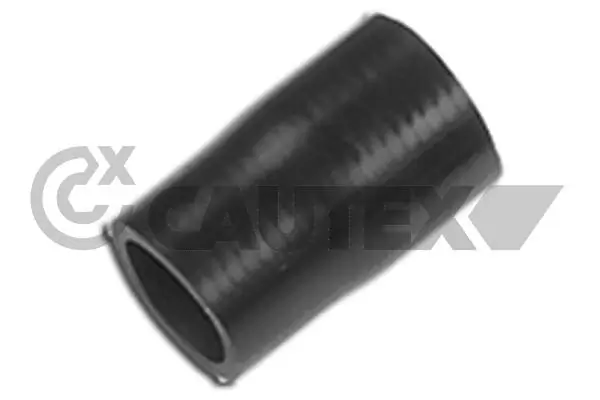 021192 Cautex