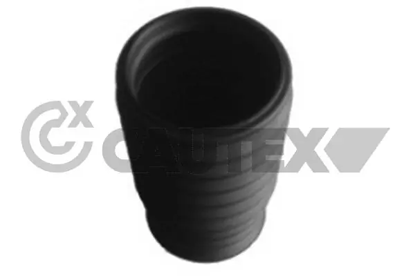 180981 Cautex
