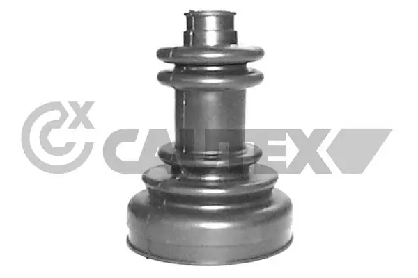 900330 Cautex
